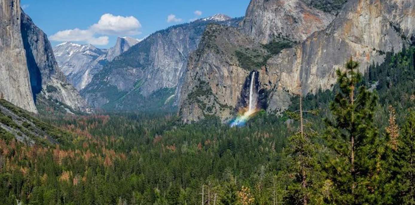 A Journey Through the Wilderness: Exploring Yosemite National Park
